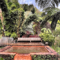 Dona Beija Hot springs in São Miguel island