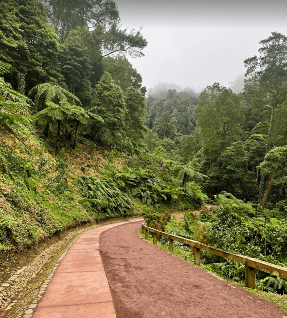 caldeira-velha-hot-springs-in-s-o-miguel-island-to-azores-islands