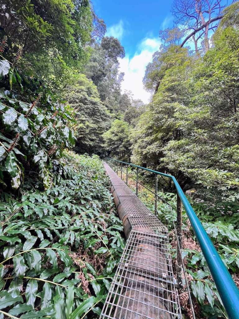 salto cabrito worst hiking trails sao miguel-island