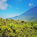 Best things to do in Pico island