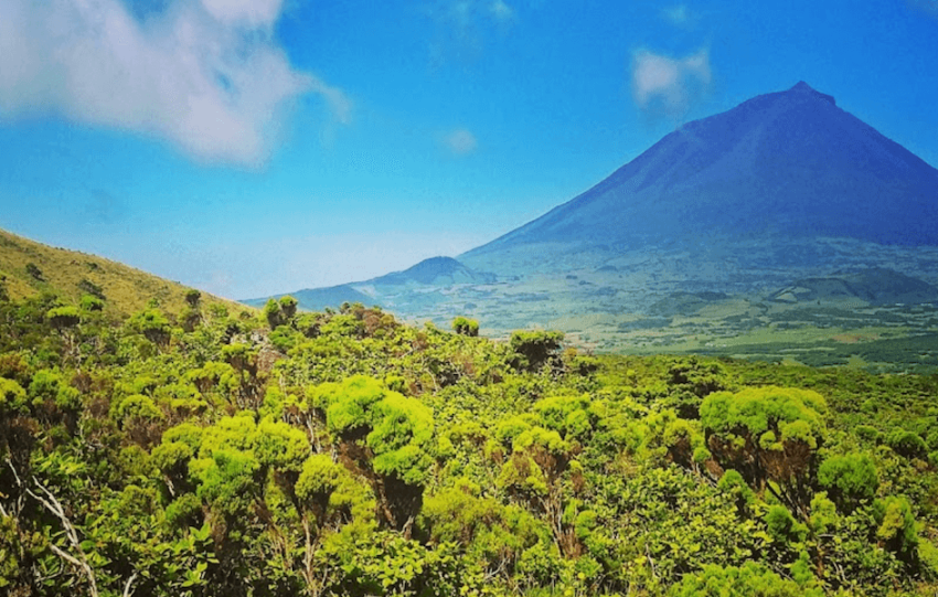 best things to do pico island azores