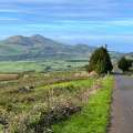 Rent a car in São Jorge island: all you need to know