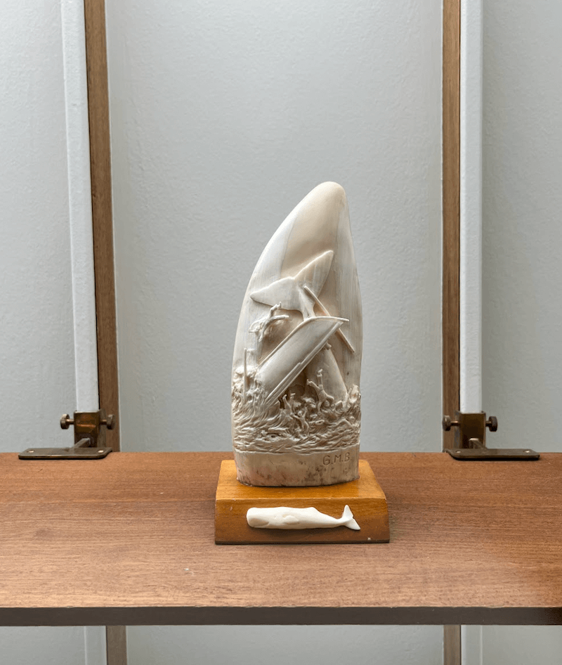 engraved whales teeth