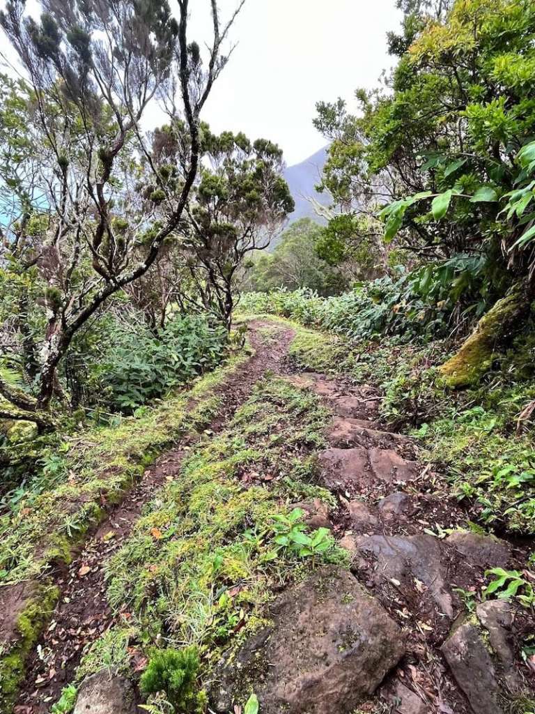 faja caldeira santo cristo best hiking trails sao jorge azores islands