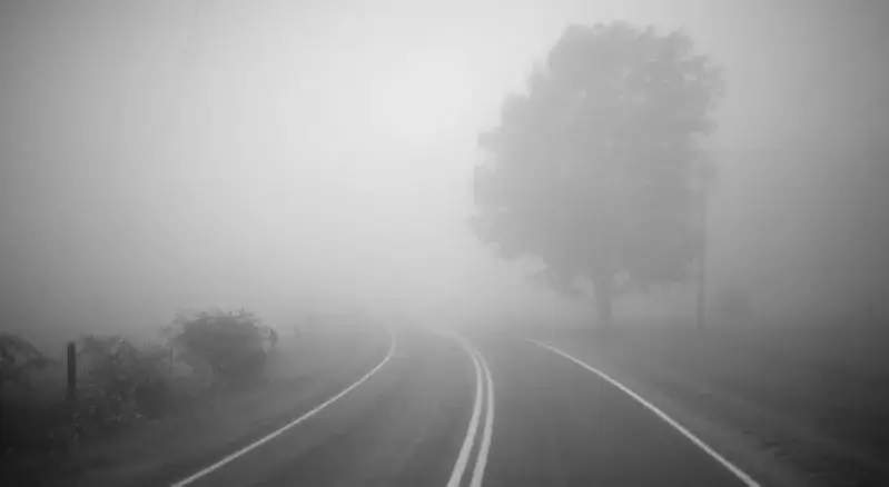 roads foggy day azores islands