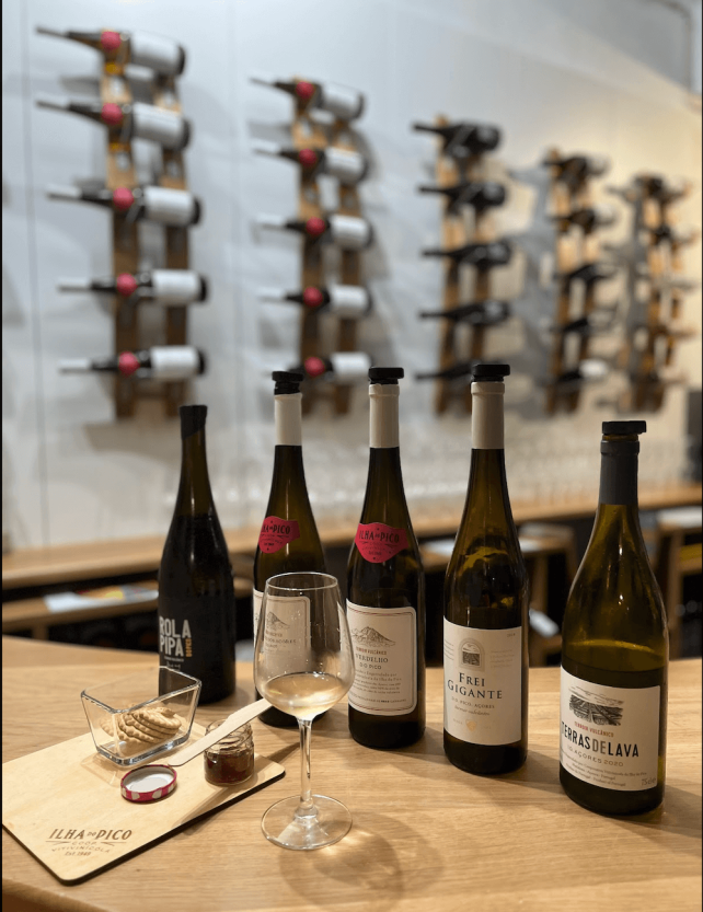 Curated visual reference: Luxury Island Wine Tastings Reference: Wine Tasting In Pico Island In The Azores