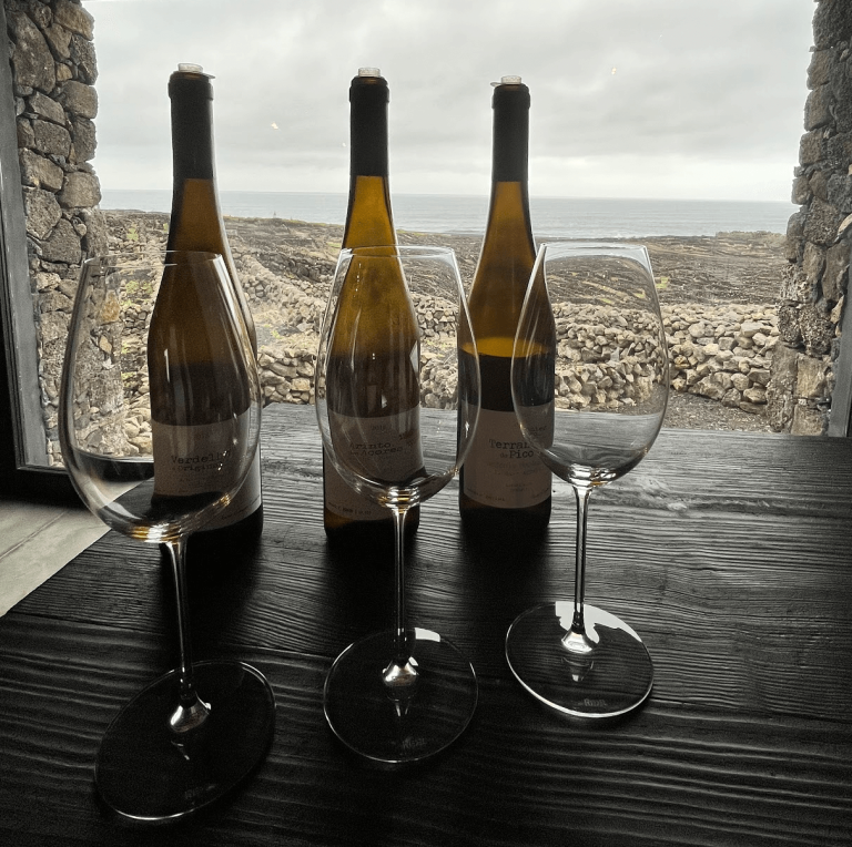 Curated visual reference: Picture Idea: Wine Tasting In Pico Island In The Azores