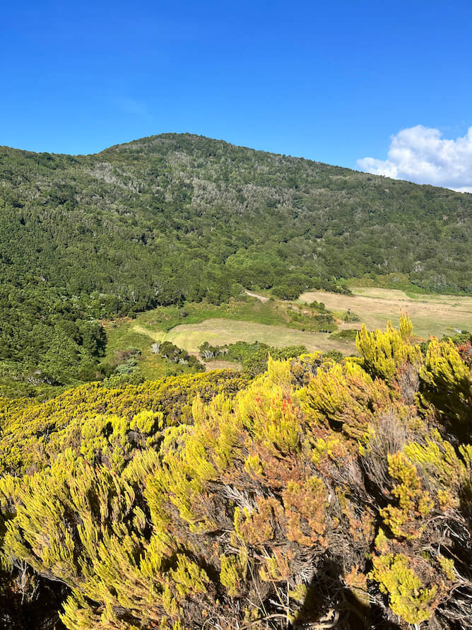 hiking monte brasil terceira island azores