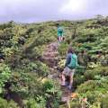 Wanderwege Flores Azoren – die 10 besten Routen 2025