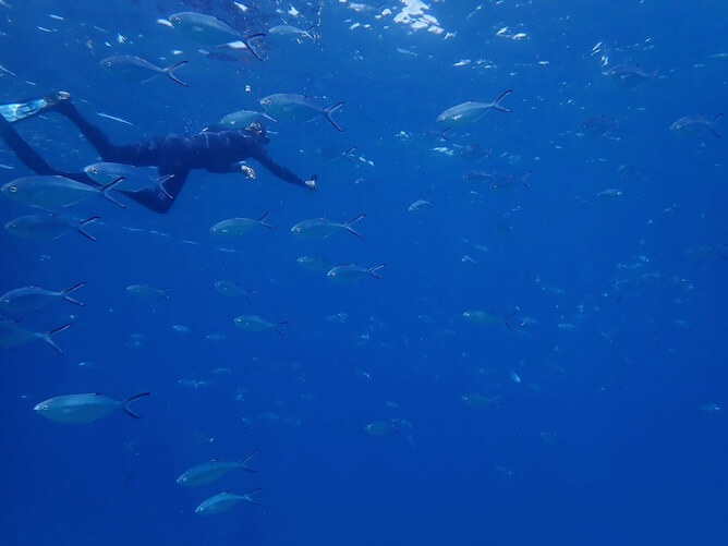 lady snorkeling azores sao miguel