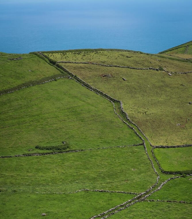 pastures corvo island