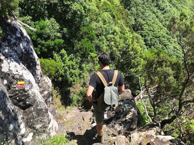 path going down hikes trails flores