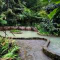 Hot springs in São Miguel island
