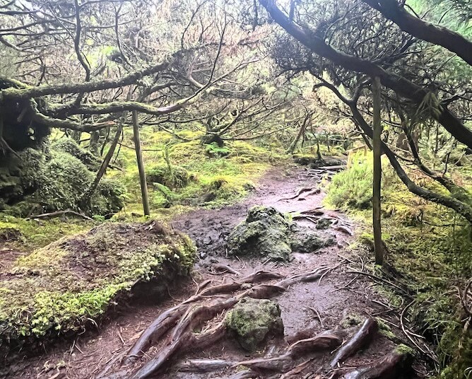 getting lost trails azores