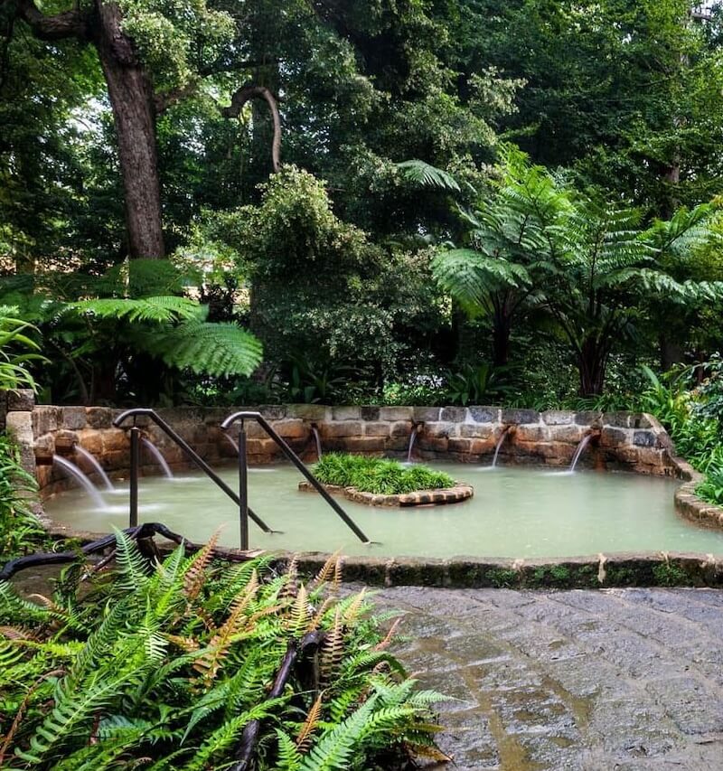 hot spring botanical garden sao miguel azores