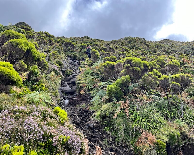 terrain mount pico azores