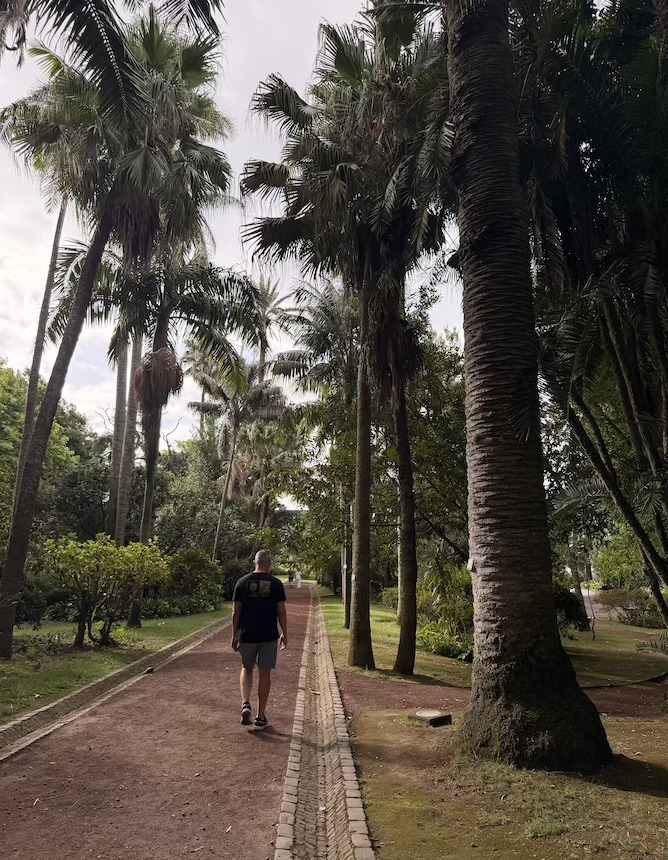 botanical garden antonio borges ponta delgada