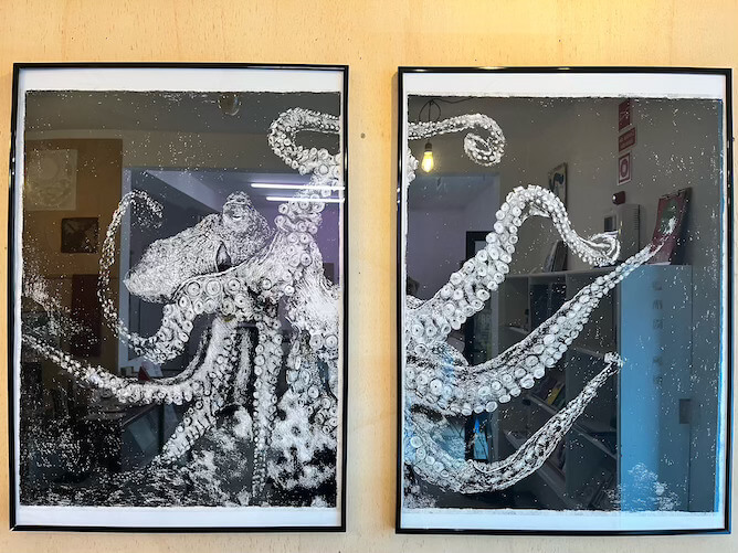octopus print