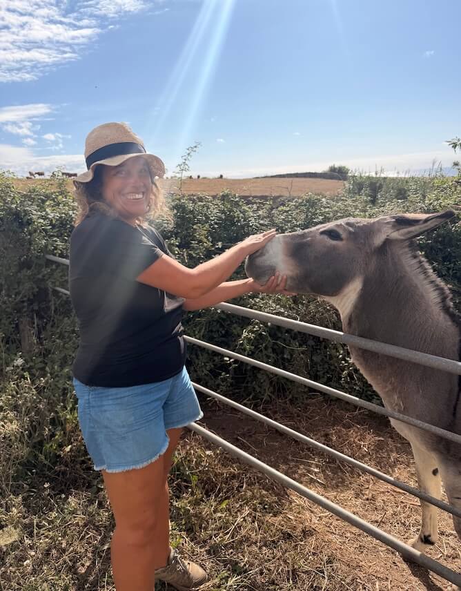 sandra donkey farm azores